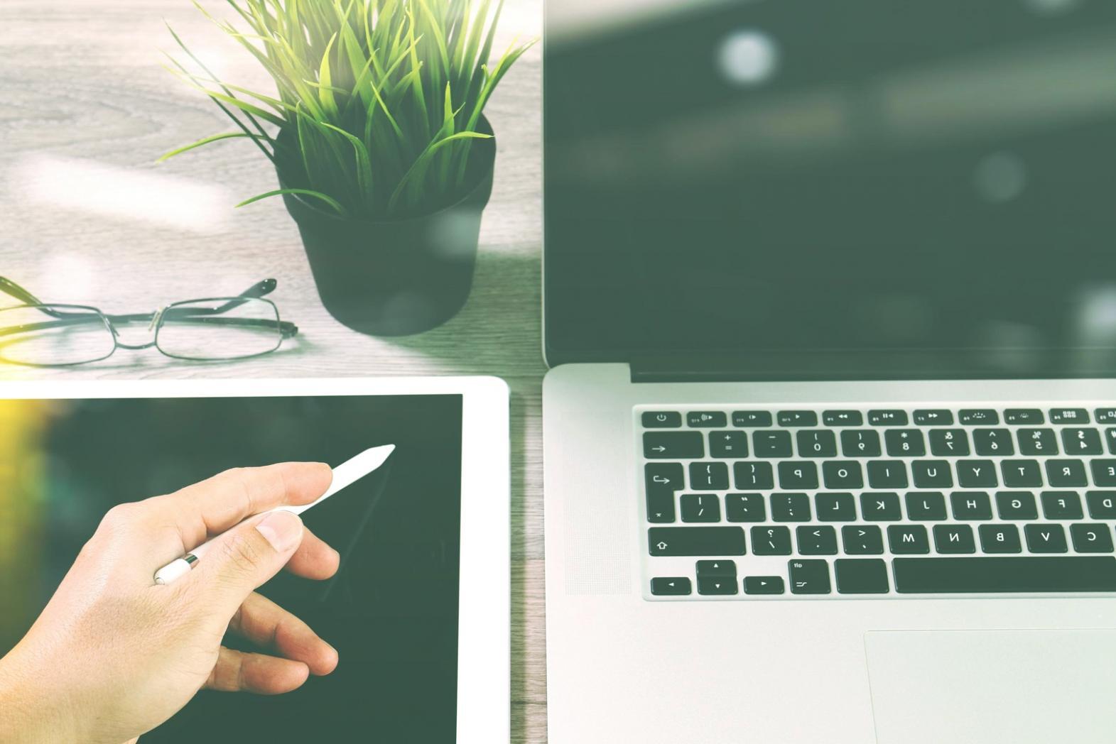 Local SEO vs Global SEO Strategy Breakdown